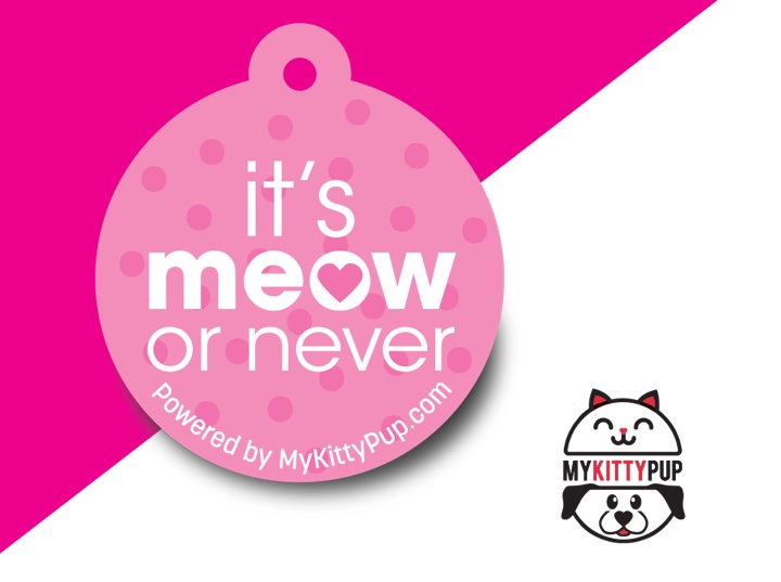 It's Meow or never pink
